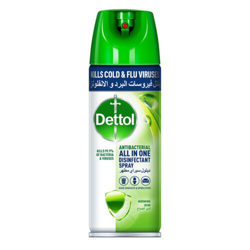 Dettol-Disinfectant-Spray-450ML-Morning Dew.